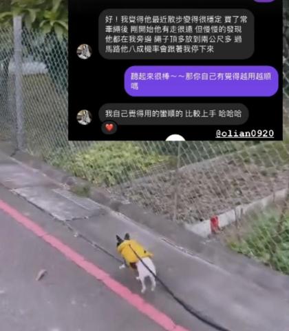 咪塔屋娜的生活日記－IDTE犬隻訓練師Tyra（新竹地區） - 