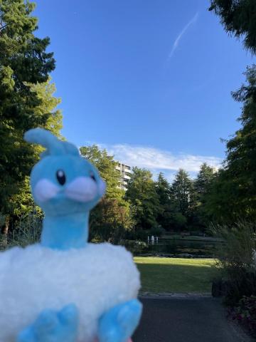 許小小★{專職線上日文家教}★ - 是寶可夢養大的孩子.現在還是很喜歡~同好可以交流