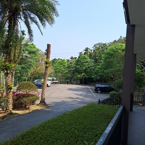 樂悠遊機場接送＆包車服務 - 大清早的芬多精