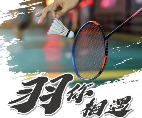 提供羽球練習服務的專家樂羽羽球訓練所