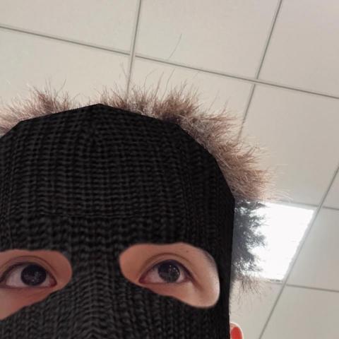 提供指彈服務的專家林泓宇
