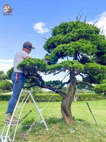 藝樹職人 - 
