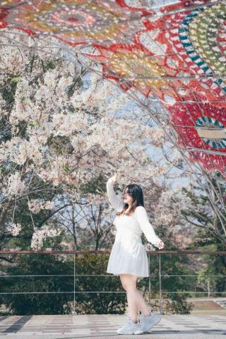 阿傅的攝影工作室 - 