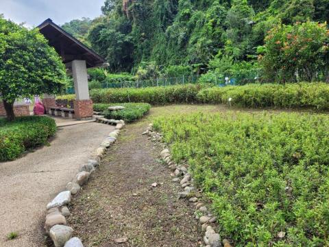 于森園藝企業社 （林先生） - 新店公園整理 維護