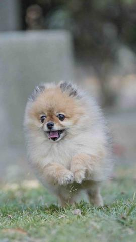 阿傅的攝影工作室 - 