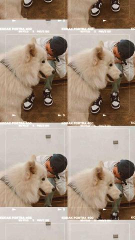 Kay&rsquo;s快樂小角落 - 用餐環境的店狗