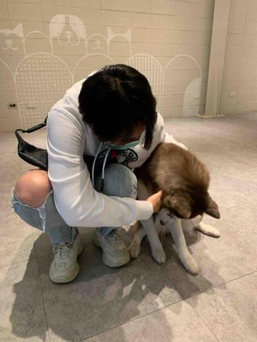 Kay&rsquo;s快樂小角落 - 用餐環境的店狗