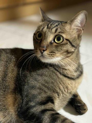 走走走停停.blog - 