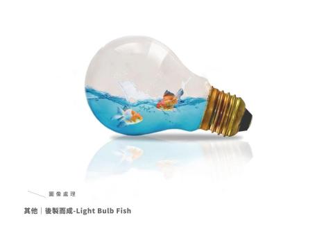 Xinny&rsquo;s Studio - 