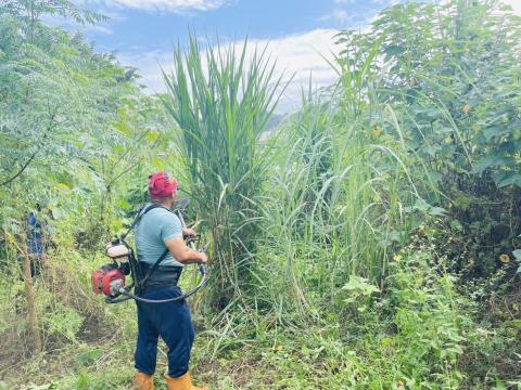 二哥 - 河岸地砍草作業