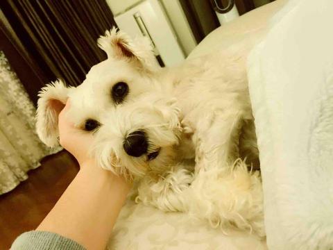 Kay&rsquo;s快樂小角落 - 我的家人❤️