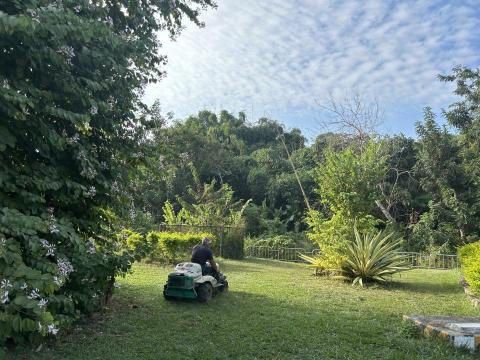 二哥 - 公園割草作業