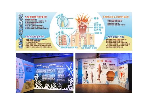 Xinny&rsquo;s Studio - 