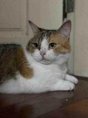 走走走停停.blog - 