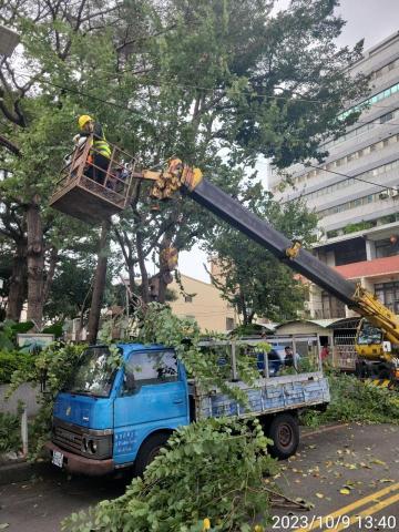 二哥 - 高空疏枝修剪作業