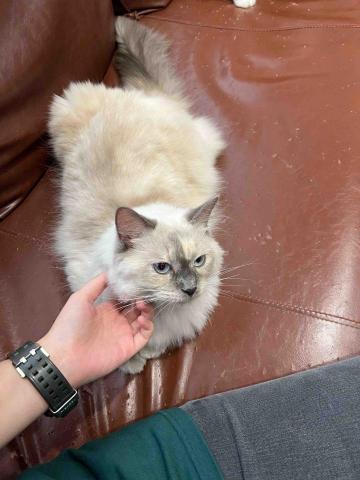 Kay&rsquo;s快樂小角落 - 美容工作室的卯咪?