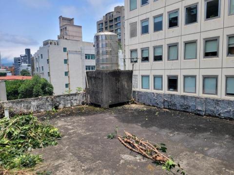 于森園藝企業社 （林先生） - 