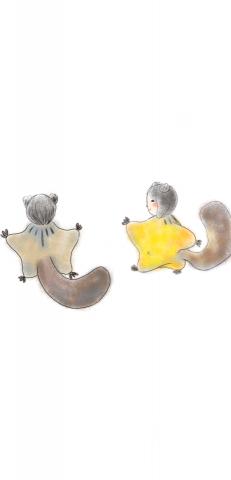 葉貞儀 - 插畫設計