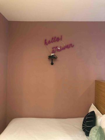 上尚油漆 - 洛陽街得利乳膠漆非洲柔光粉跳色