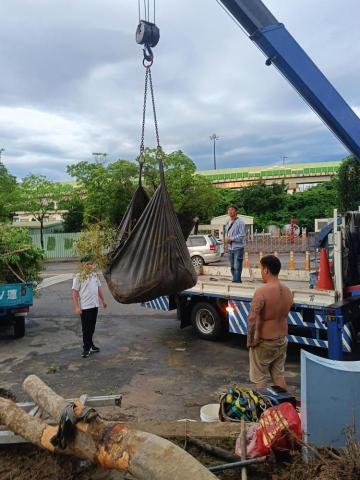 順富工程行（居家修繕》 - 園藝修改