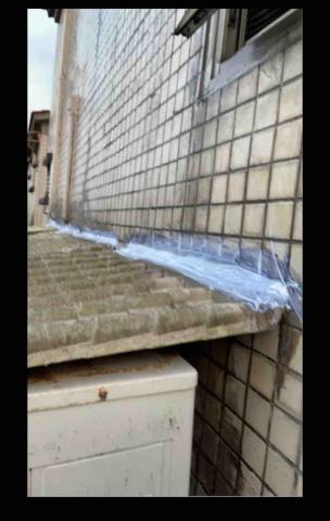 虹力工程 -  虹力工程 -