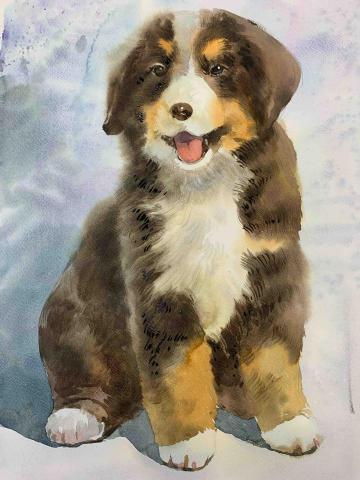 黃煜翰 - 動物狗狗水彩-日本水彩紙 黃煜翰 - 動物狗狗水彩-日本水彩紙