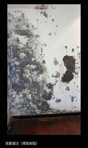 虹力工程 -  虹力工程 -