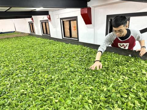 茶霧森林工作室 - 