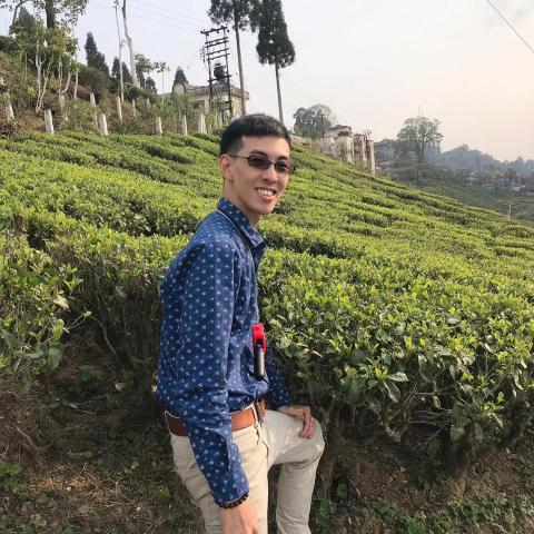 茶霧森林工作室 - 