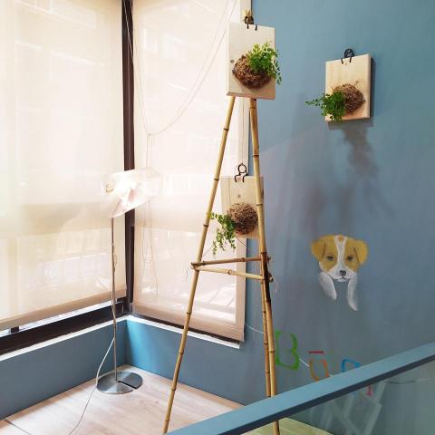 澄室室內設計 - 自己設計的盆栽架 , 擴張金屬網立燈 , 與狗狗的畫像 澄室室內設計 - 自己設計的盆栽架 , 擴張金屬網立燈 , 與狗狗的畫像