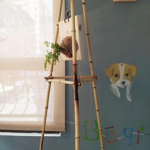 澄室室內設計 - 自己設計的盆栽架與狗狗的畫像 澄室室內設計 - 自己設計的盆栽架與狗狗的畫像