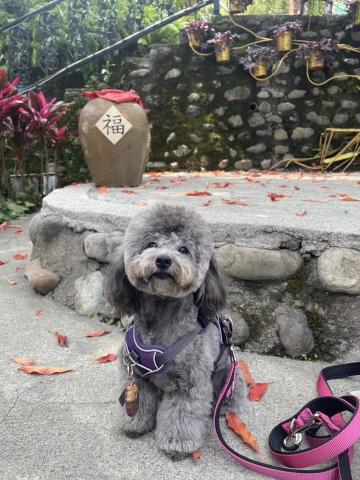 周哲佑 - 宜蘭一日遊