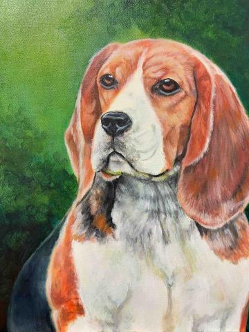 林子瑄 -  林子瑄 -