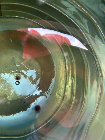 水的故事居家水電通管清潔 - 洗前