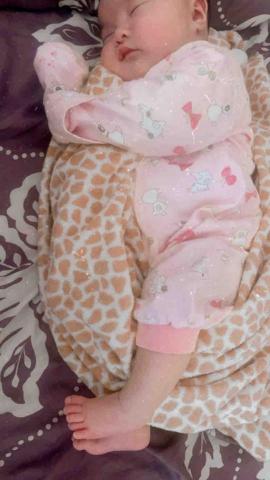 Yami楊 - 有儀式感睡午覺