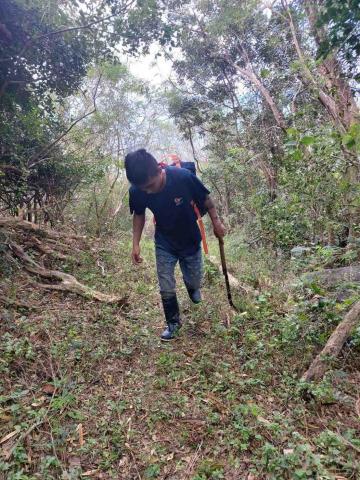 燕青 - 造林 割草砍樹