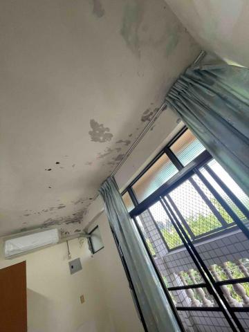 阿至油漆工作室 -  阿至油漆工作室 -