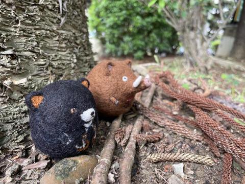 林君泰 - 原氈系列-黑熊+山豬