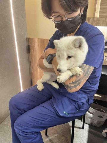 毛管家寵物保母 - 