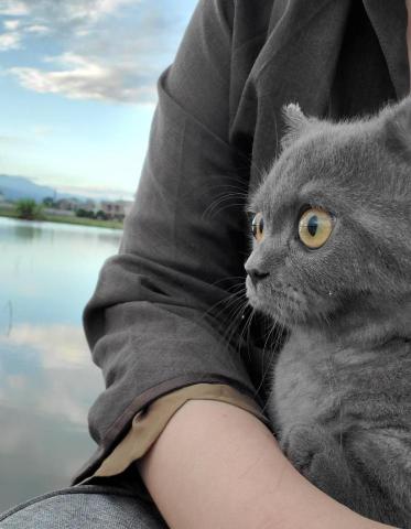 提供翻譯社期刊服務的專家家貓語錄