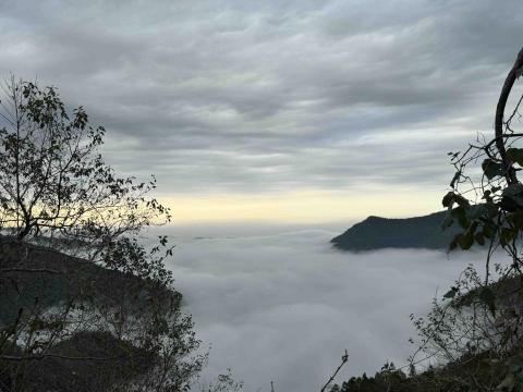 提供173司機服務的專家蔡鴻傑