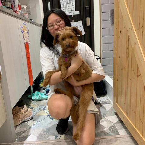 Mina - 飼主領養的3歲成犬
問題：亂叫、兇/咬其他家人、亂上廁所