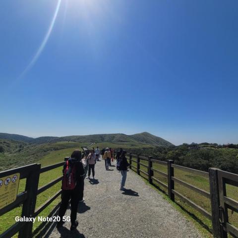黃熙 - 陽明擎天崗大草原