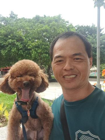 郭晉 - 客戶寄養紅貴賓