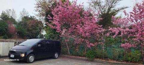 黃熙 - 平穩舒適