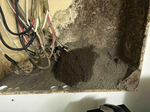 藝橙環保病媒防治 - 