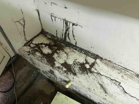 藝橙環保病媒防治 - 