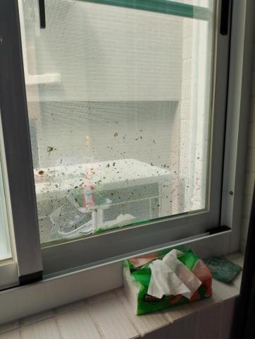 勇ㄚ專業清潔公司 - 玻璃清潔前