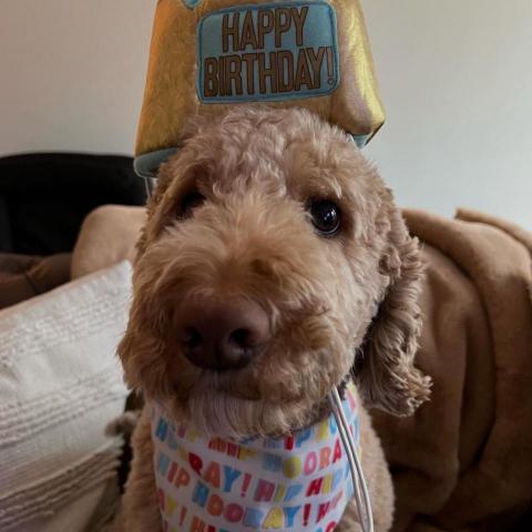 提供潤稿服務的專家武宥