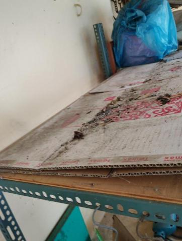 勇ㄚ專業清潔公司 - 木板沒擦式清潔前